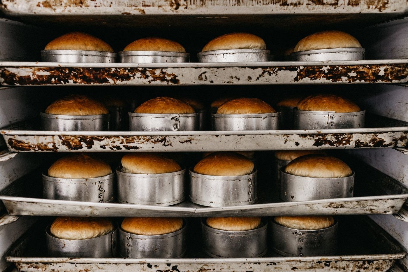 Reading the Dough: A Practical Guide to Proofing Bread