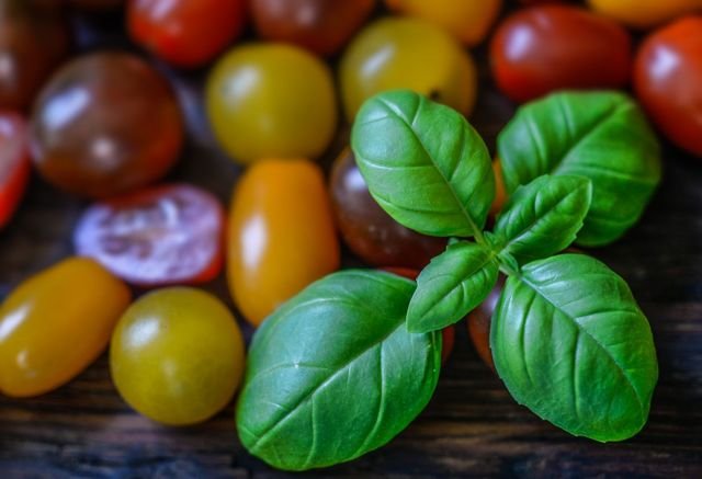 Tomatoes and basil
